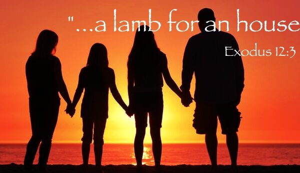 A Lamb for a house