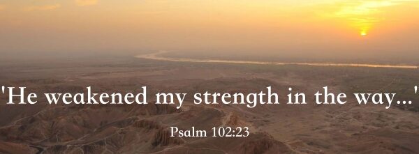 Discouragement and Fruitfulness