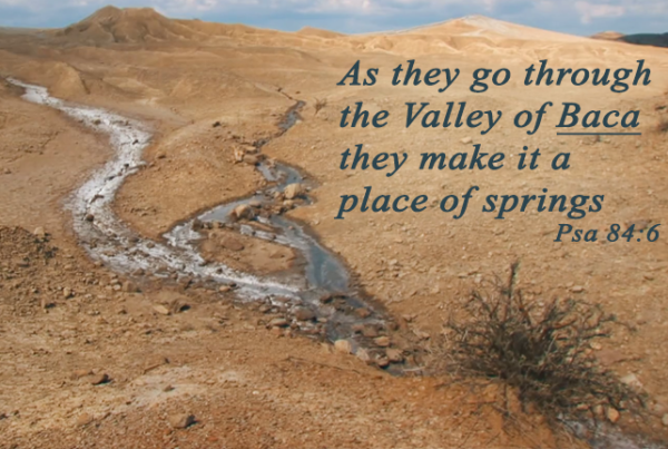 Springs in Valley of Baca