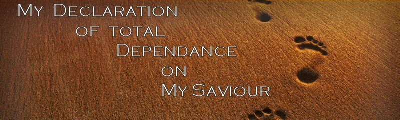 My God and My Testimony