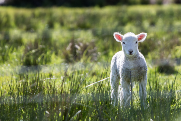 rod long aJvSX36kweg unsplash2