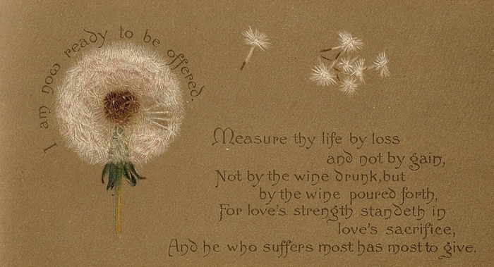 the measure of life
