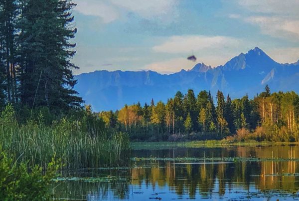 jim smith lake scaled