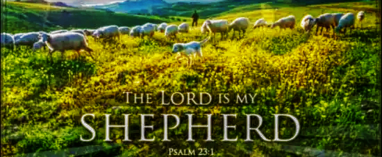 The Love of the Shepherd