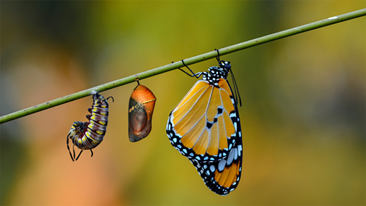 PODCAST – The Gospel of Grace