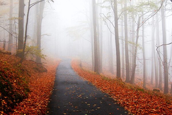 Salvation a journey scaled