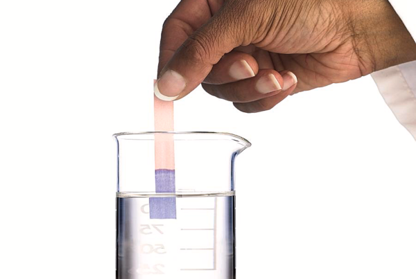 the litmus test
