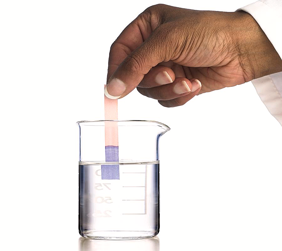 the litmus test
