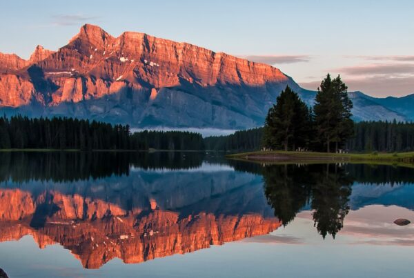 captivating beauty scaled