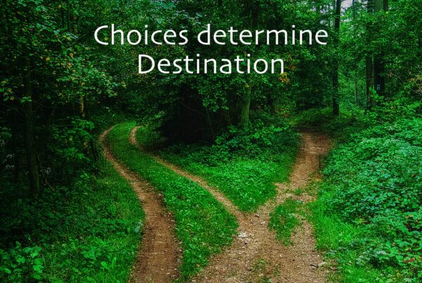 choices scaled