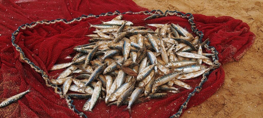 F.B. Meyer - The Catch