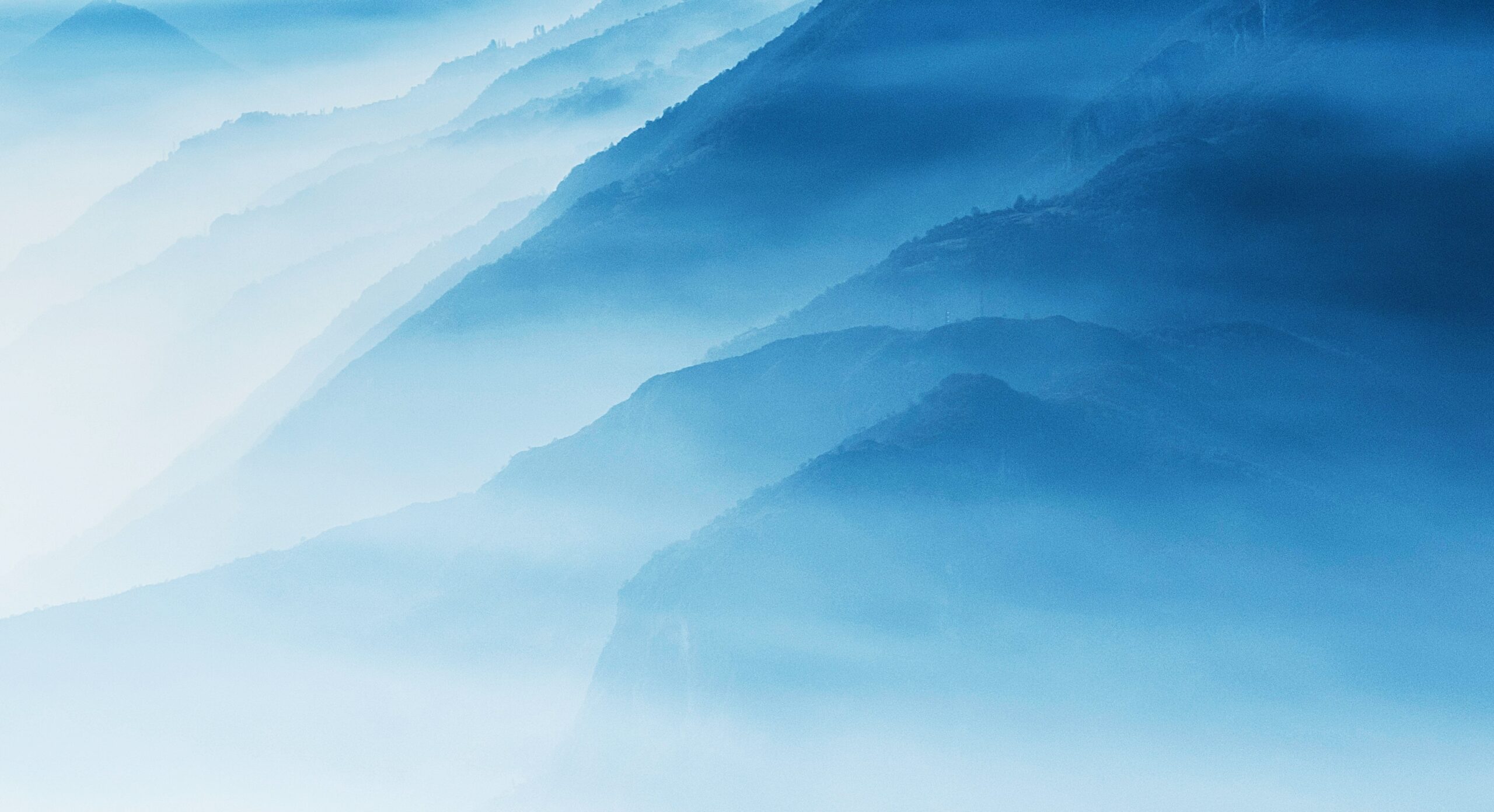 The Mist of Life