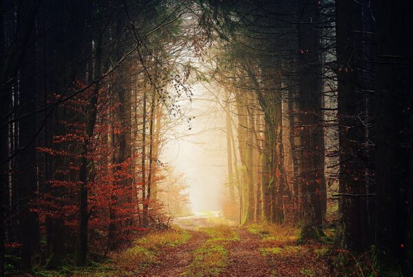 the way into life scaled